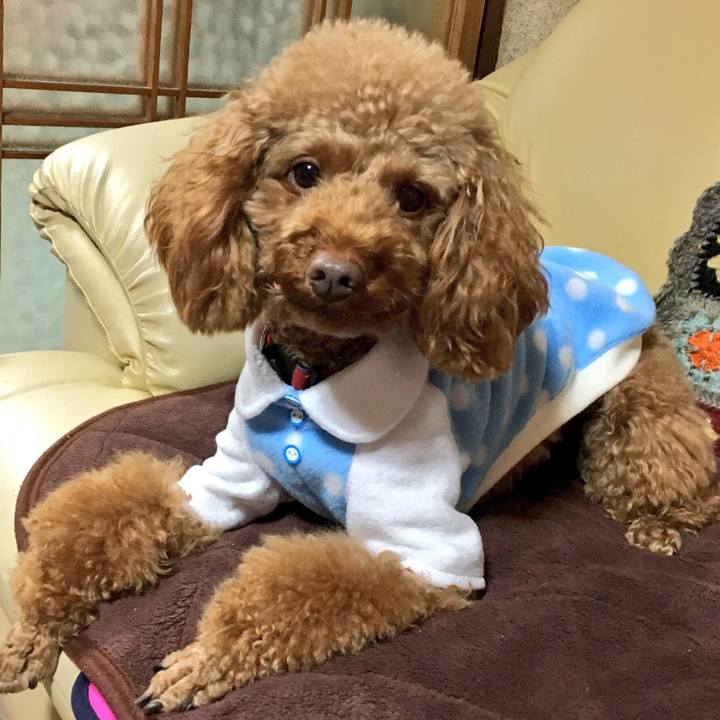 5353e2ce 2fe1 4249 9318 83dd046b5285