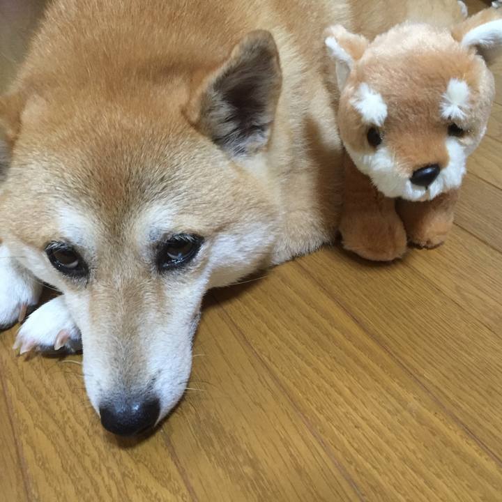 53540546 a3f9 4720 9f35 9d7d037fa260