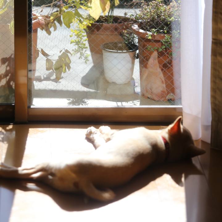 535469fc 6934 4cad a479 662952444de4