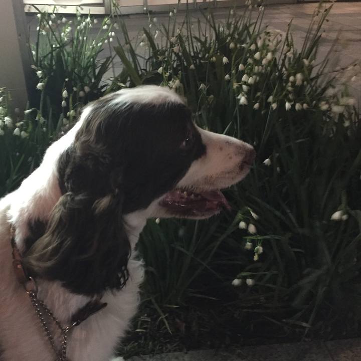 5354a3eb 6179 463e 9c59 3c6b8cc610b7