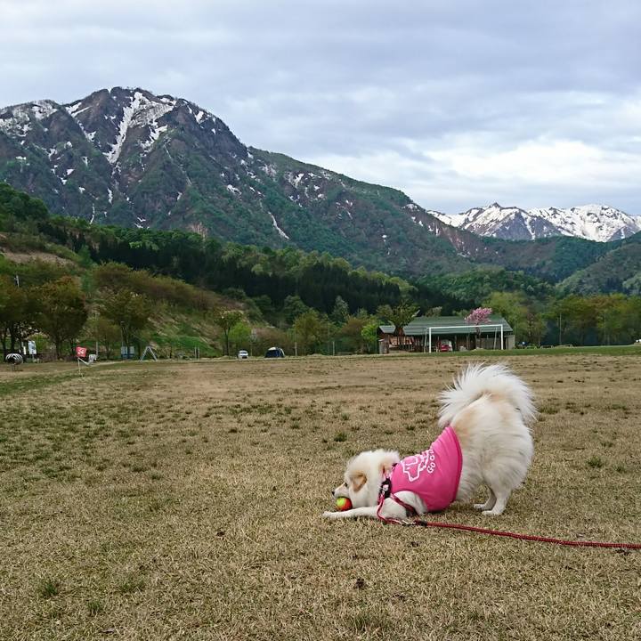 5354edd2 1d27 4e2d b765 c322790ca8e5