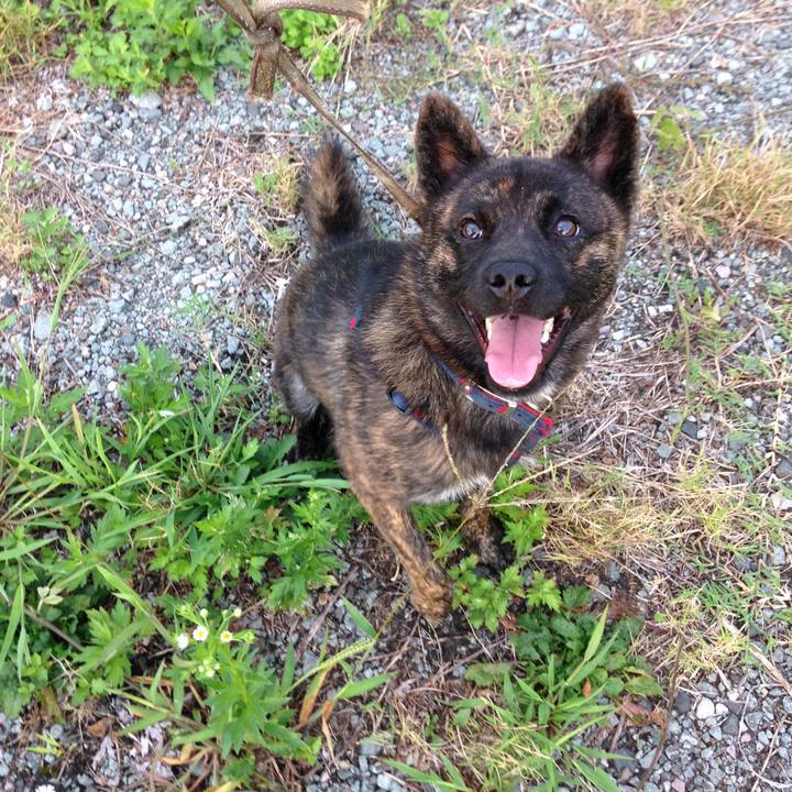 53554f6f 0ca6 48da b33c 9717bd0567e5