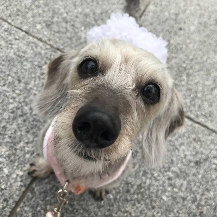 53557398 e7b7 40e7 a89f e65e353f3224