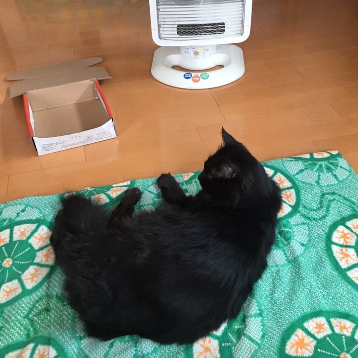 535586b0 d925 4bb7 9d94 19cf62bbad2e