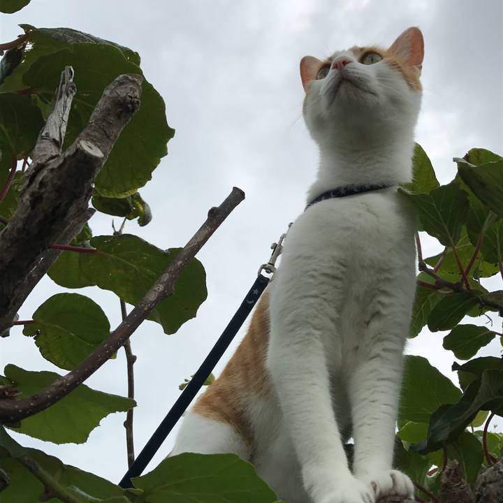 5355898b dad6 46a0 be30 23b44b550f41