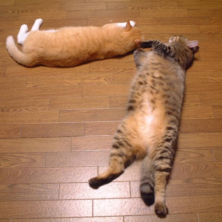 535652bb dce0 48cd bc30 a8642274484c