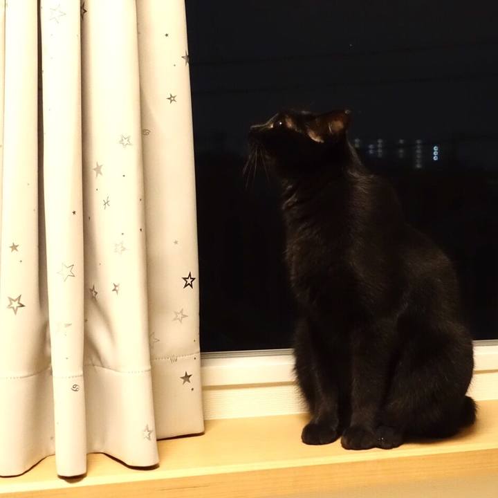 53568101 3b79 4ce4 98eb 577e654b5393