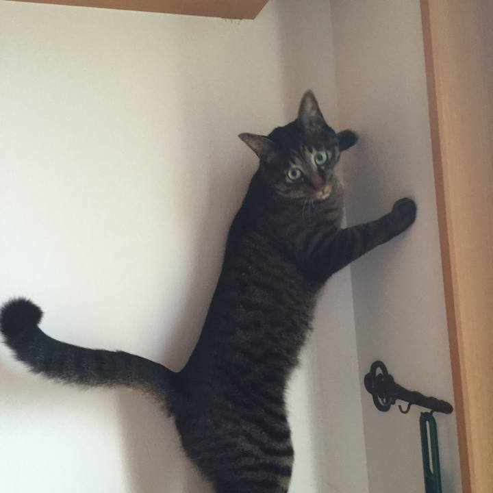 5356a365 69ea 4880 a1be c244d2ac8557