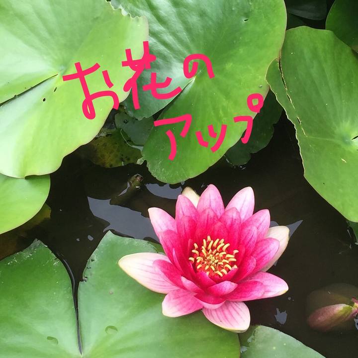 5356b930 696c 40b0 9624 cf161b0e1eba