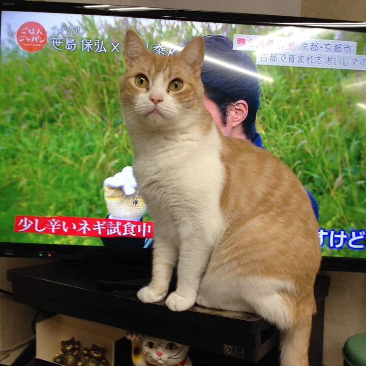 5356ec49 ac1b 486f 9099 dd62f3ef7101