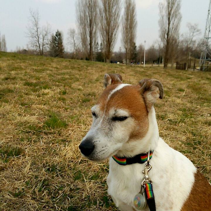 53584e71 732a 43d6 9d44 291e10d2735c