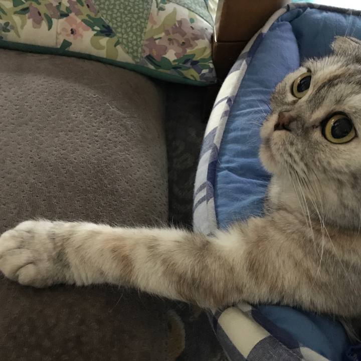 53585011 679b 4641 93ef 85f1a14b7a7b