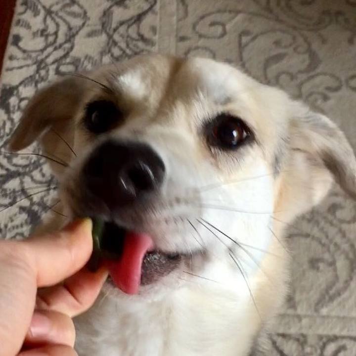 53587def 1c3d 4491 96cc 3a1fc86e82f6