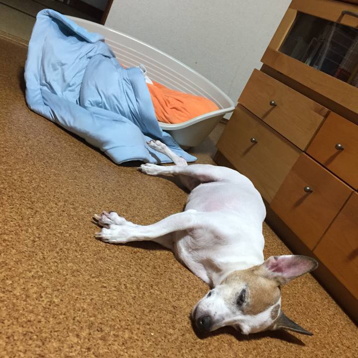 5358b74b 35a4 4746 9852 85ef9d016b5b