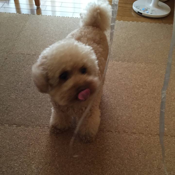 5358cba2 f530 4422 8c94 d2ae9e6193bd