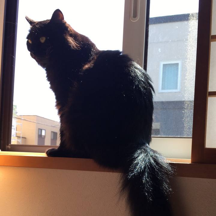 535965de ea32 42d0 9947 2413948e734f