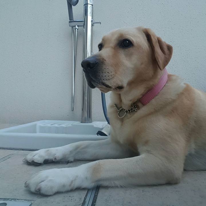 5359dbd9 2d1d 4e7b 9e56 1e0f5e4bd846