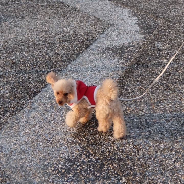 535a3a19 cb90 4c53 941c af39ec0ca45f