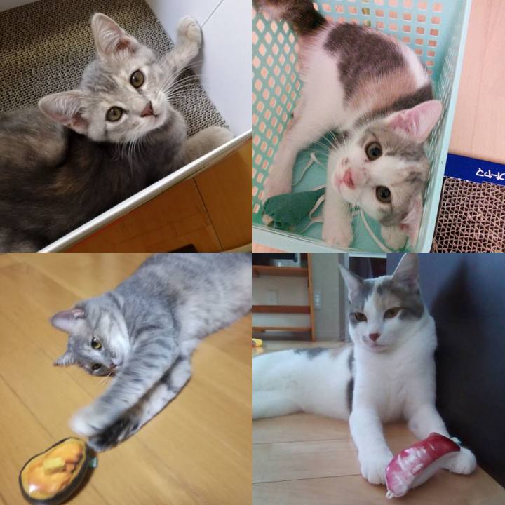 535a74a8 1c6e 4987 bef4 2606fb0289bc