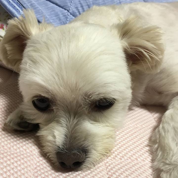 535a9780 7174 40d8 b272 65a77f0ff70b