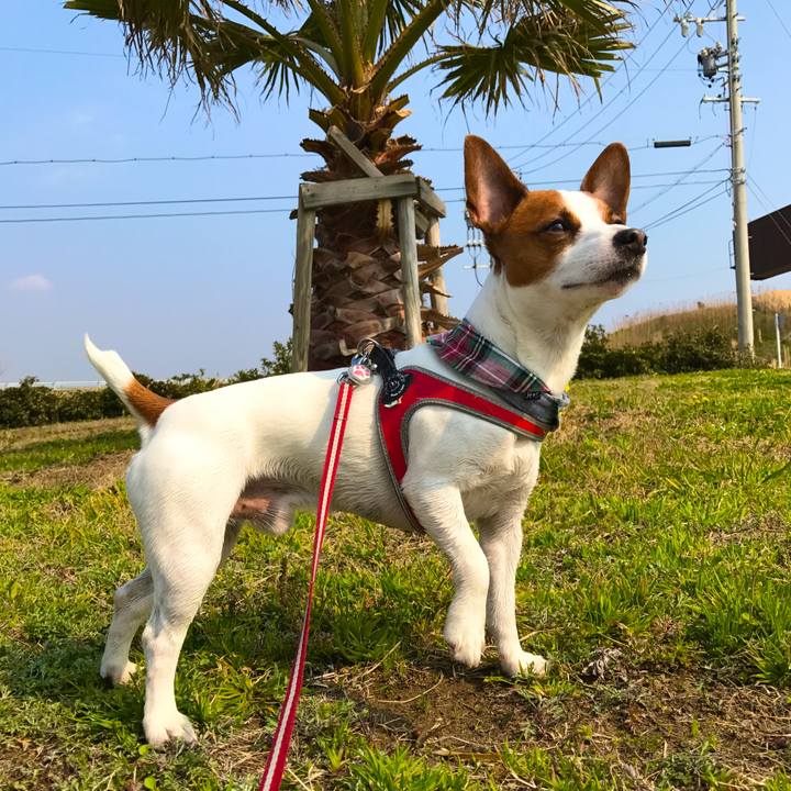 535b76d9 db7e 466c a382 5aa86d1fdca3