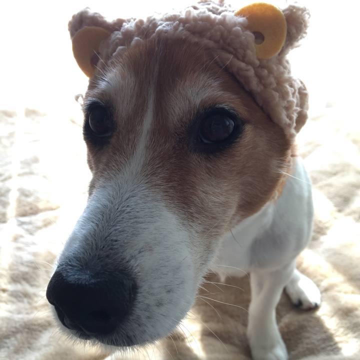 535ba85b 606e 4342 9964 abf46d3cfc4b