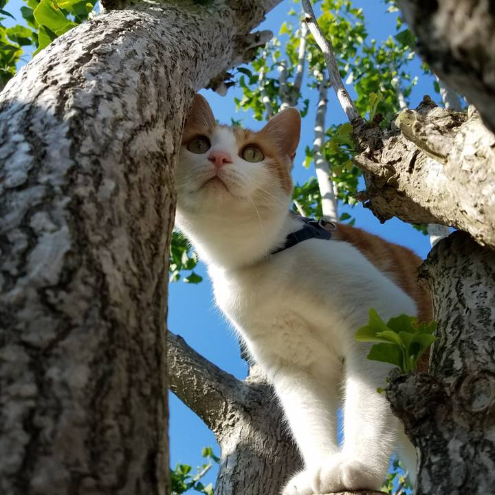 535bd458 0e15 4c95 920d d9e3facb9f83