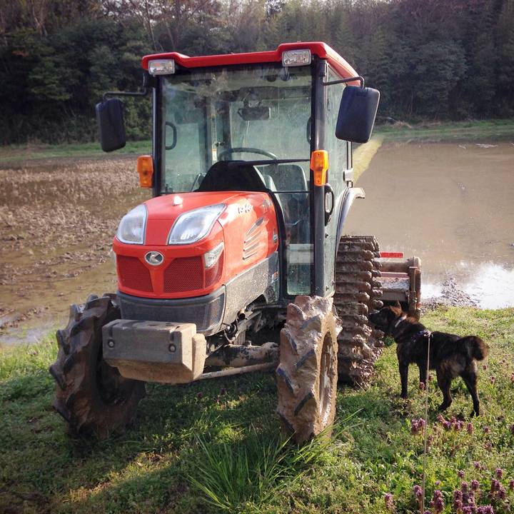 535c3533 d22d 4dd9 a9ae a3394365b962