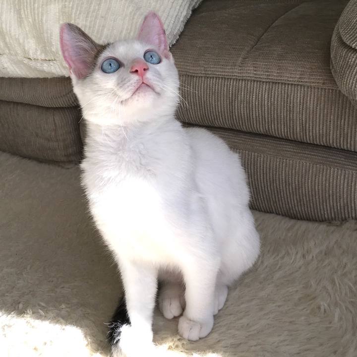 535c3f4f d357 46f1 a917 03e51577bb5b