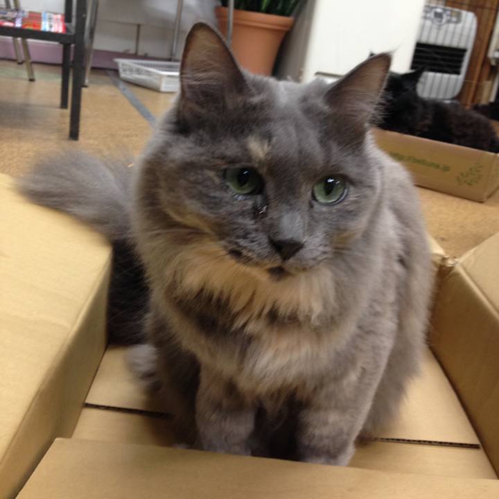 535c71b8 8093 4ce9 b484 503ac2f67784