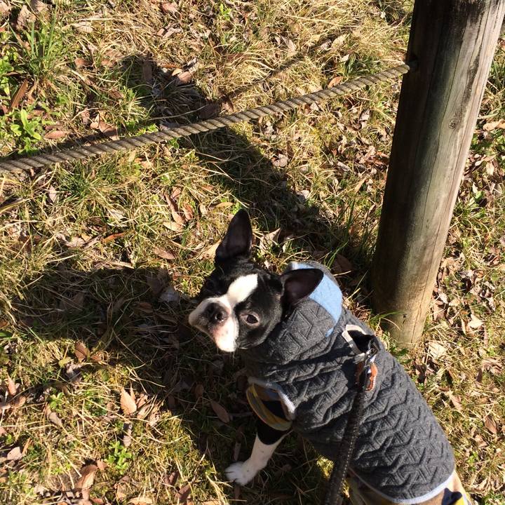 535d5793 7dc8 4383 a918 cac6ed424a34