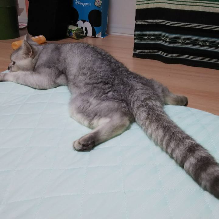 535d813f 20d9 4ed8 b53f 34983afaed67