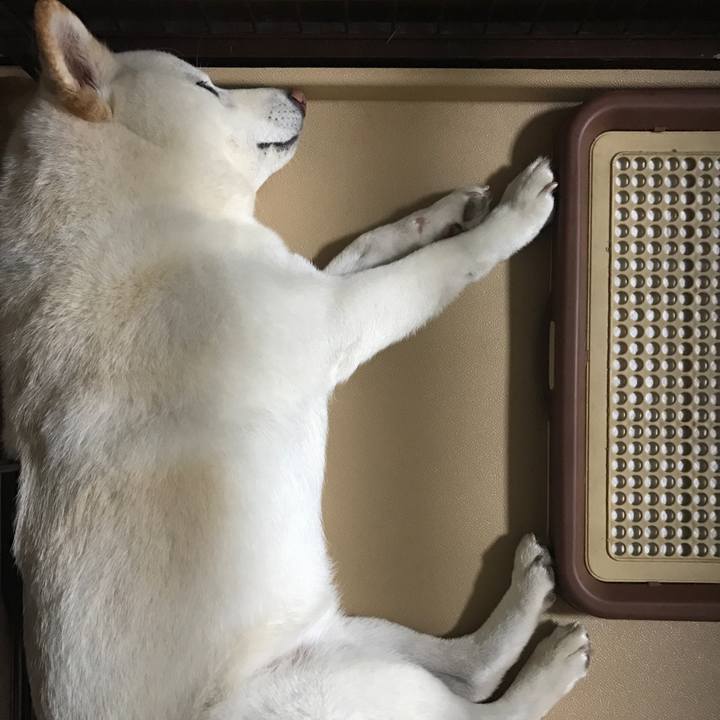 535dc5fa fab6 4685 9d4e e4f1d71ae869