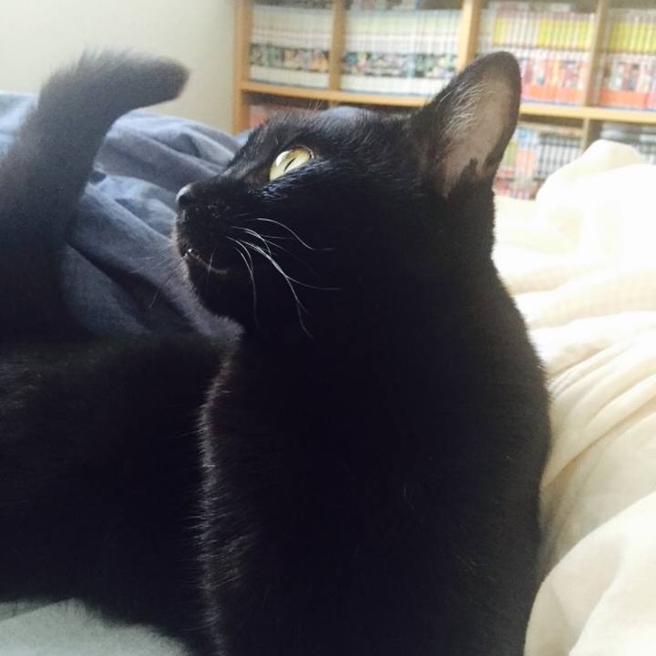 535f521d d2e4 49b7 bd72 c5f3cb5ffe70