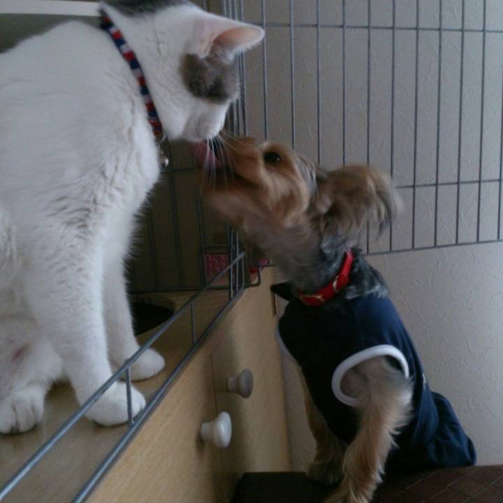 535f9fbe 2c50 42d9 9b92 f85a7703d926