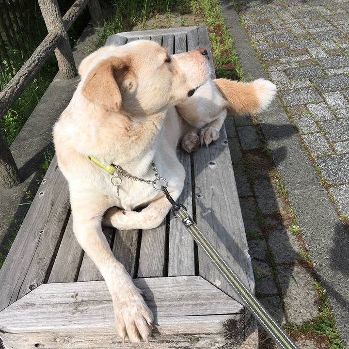 53601188 4110 4b65 a47b 9b7cb0f6fd82