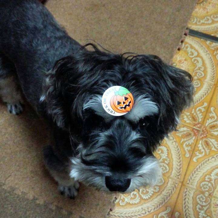 53603d0f 46c2 449a 8db2 ac4931d5b0c5