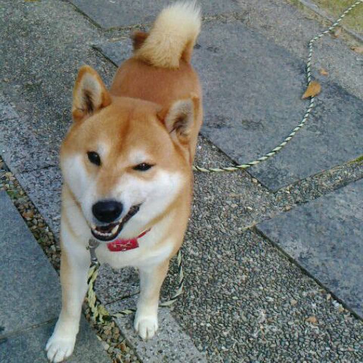 5360b9ce 508c 4339 bfc1 f1bead5ecb3f