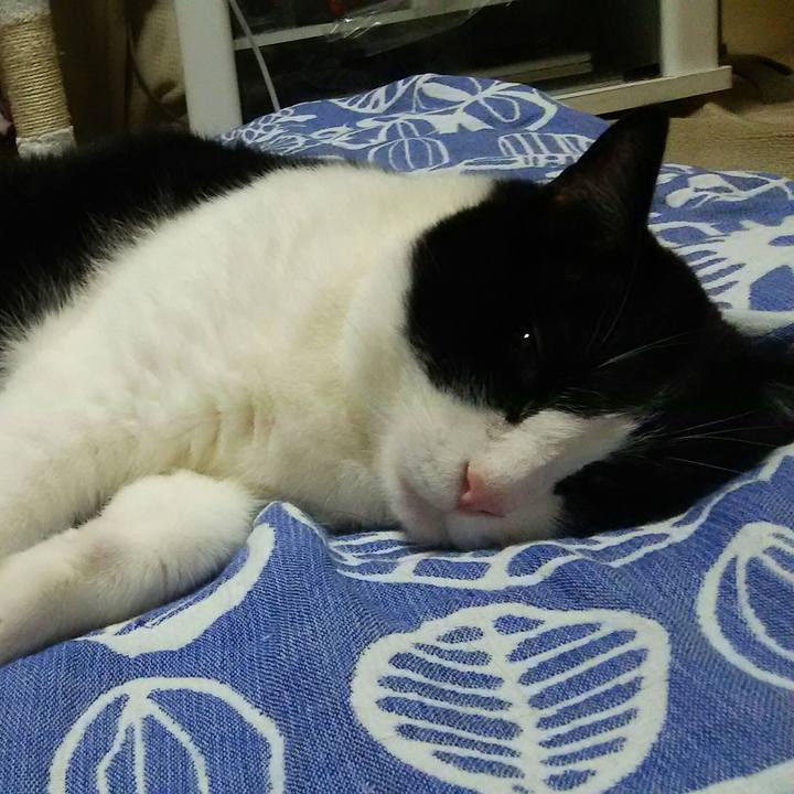 5361122a bd8d 440a abd3 86b53328e10c