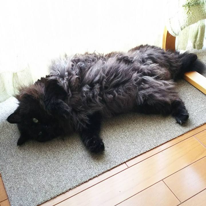 53611d88 e50d 414a a636 15608724cf07