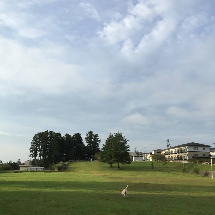 5361458d 3e70 4f92 aeab ccdb1189721a