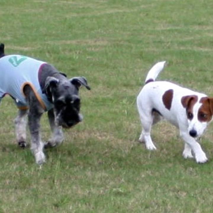 5361a13c 89bc 4c7f 9a99 ac9f50a030df