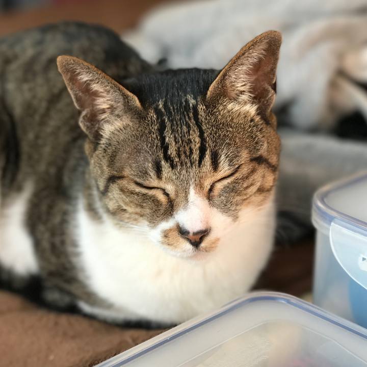 5361e1e8 41e1 4f20 9651 69f04b1120f2