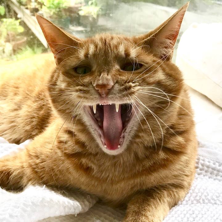 536220c6 0cc1 4fc1 9b3a 7e16aad6e040