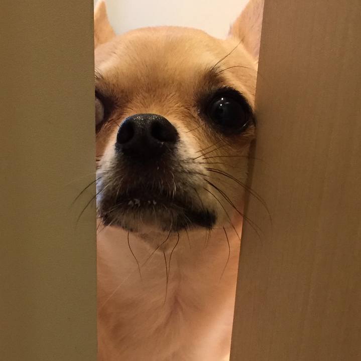 5362dec5 3a33 42bd 8c68 342f571b67bc