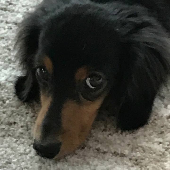 536338ef 4d9c 4c83 a9e0 1ef797086f17