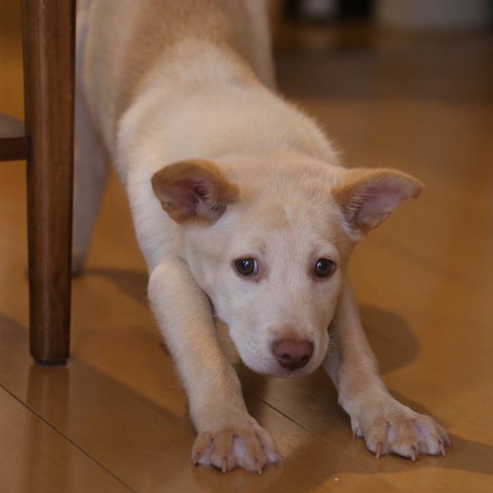 5363b45b e6cc 4d2a bbd2 a923d6be1571