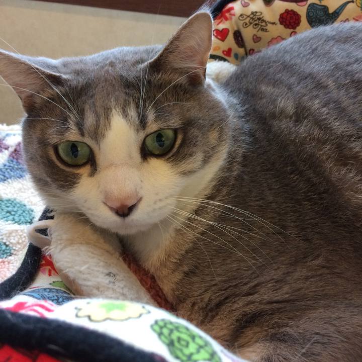 5364664a 0774 442e b5eb 24c25d3b691f