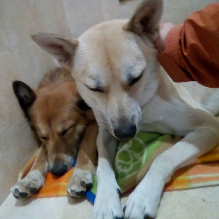 53649a8f ba94 4733 8498 492c4f62140d