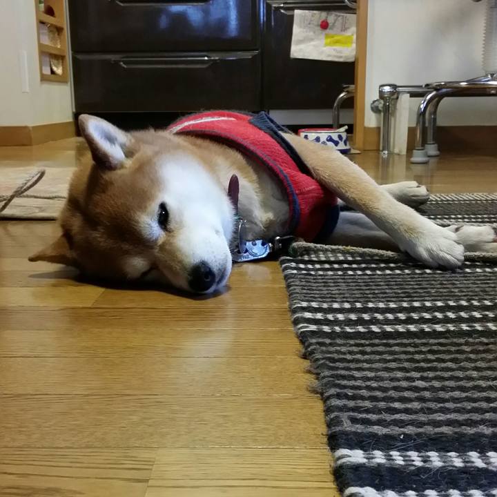 5364ad6f 325d 47dc bd7e 418b7c684bb3